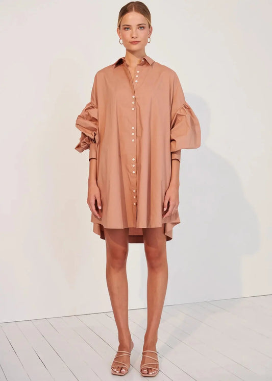 GINEVRA SHIRT DRESS - BLUSH - Leela Rose Boutique