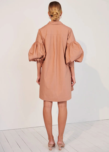 GINEVRA SHIRT DRESS - BLUSH - Leela Rose Boutique